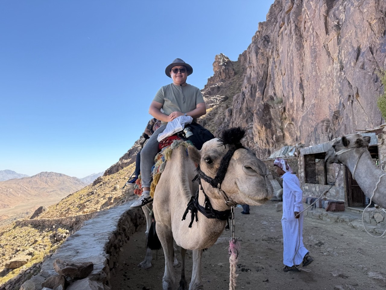 Kafilah unta menuju "Starbucks" Sinai, pemandu Bedouin berjalan kaki di samping.